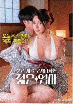 类型片规则与破例条目封面